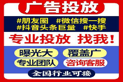 SEM广告投放的竞价策略与效果评估案例